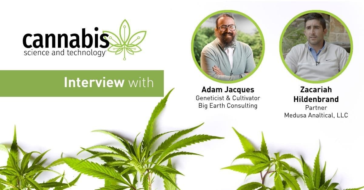 Cannabis Genetics Research Advances Cannabinoid Profiles for Medical Use
