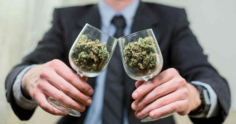 Study Reveals Wealthy Youths as Major Cannabis Consumers in Paris Region