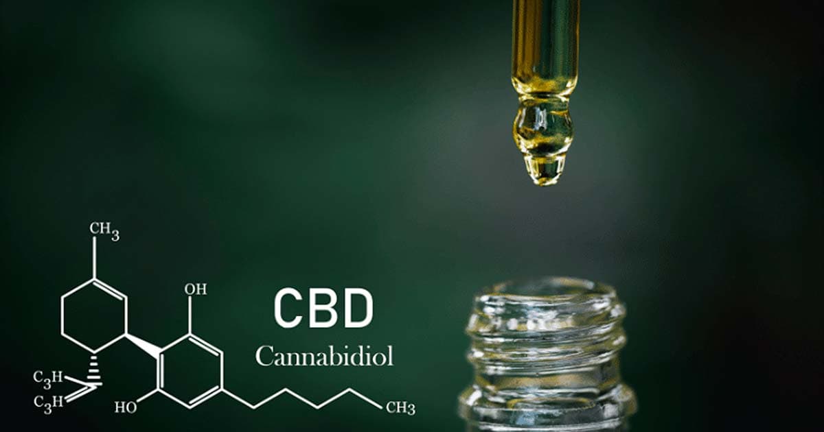 CBD Gains Popularity for Health Benefits and Therapeutic Uses