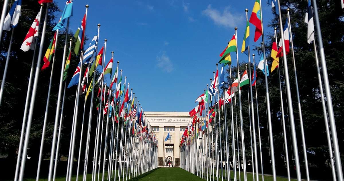UN Experts Call for End to Global War on Drugs, Emphasizing Health and Human Rights