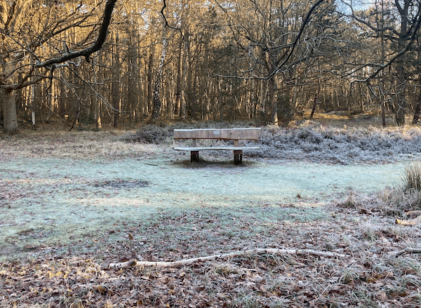 Colder Weather Expected in the Netherlands, White Christmas Unlikely