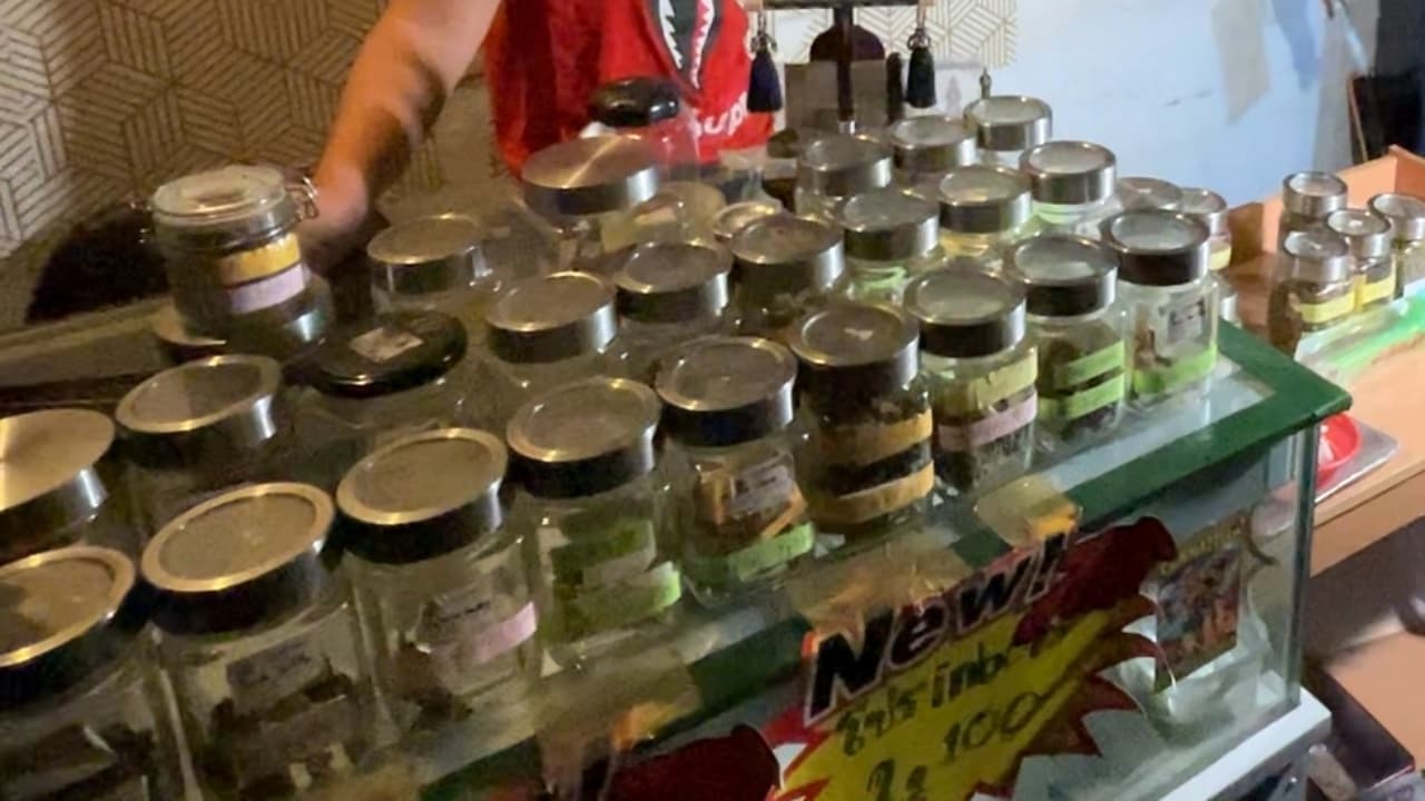 Khon Kaen Cannabis Shop Faces Closure for Selling to Minors Without License