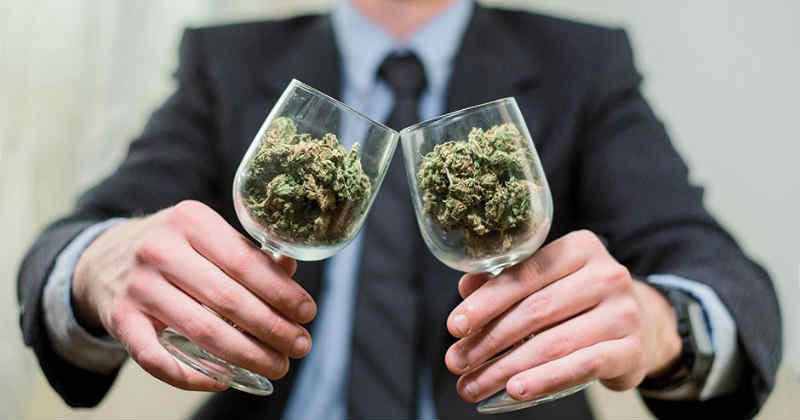 Study Reveals Wealthy Youths as Major Cannabis Consumers in Paris Region
