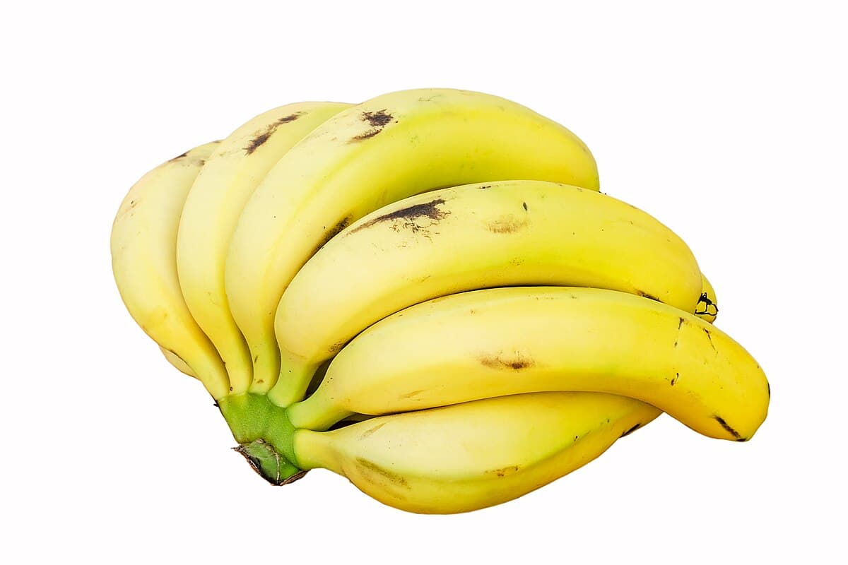 Musa × paradisiaca (Banana)