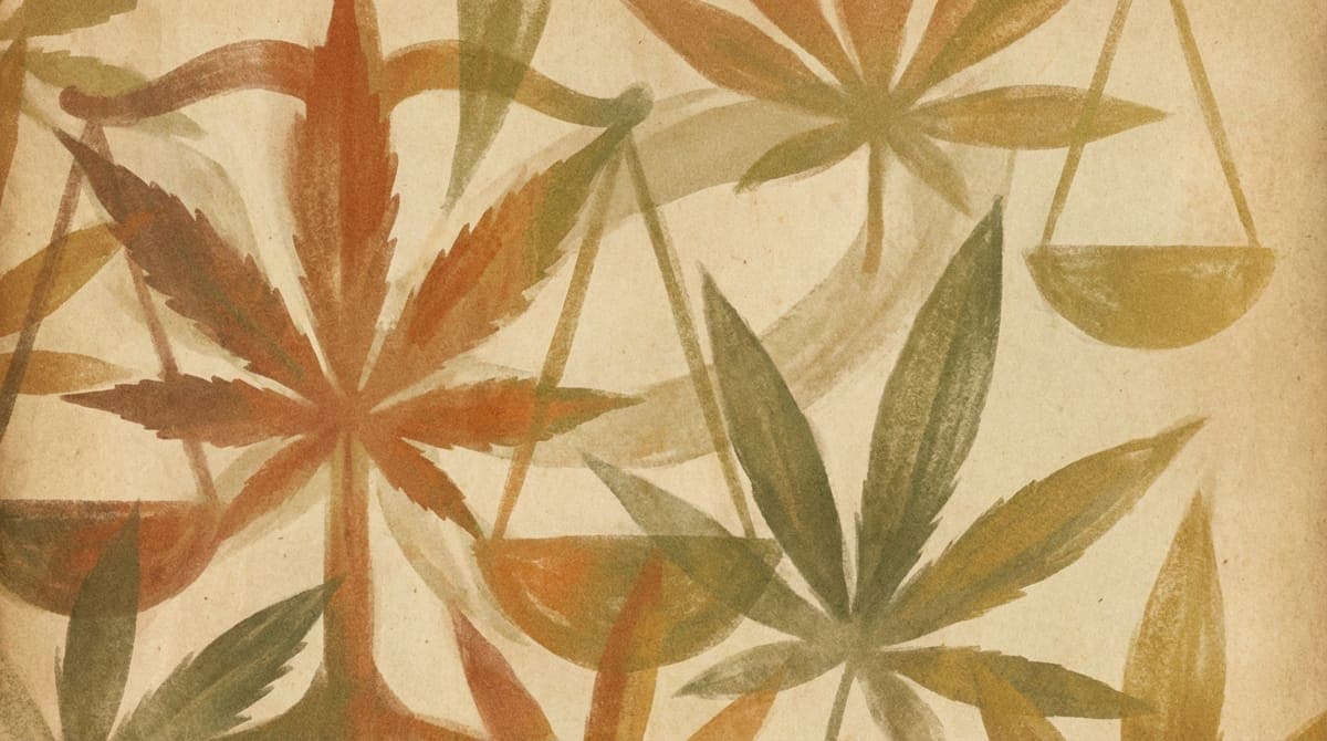 Cannabis and "New Sobriety": Why the Industry Is Rolling Back From the THC Race
