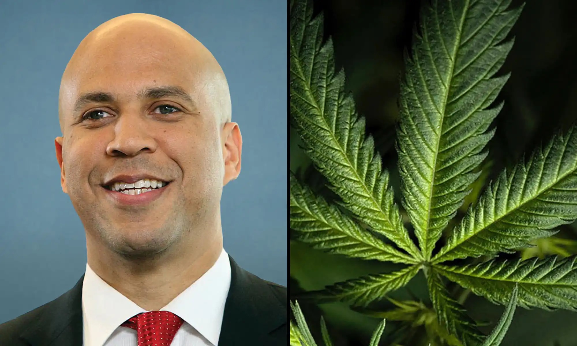Senator Cory Booker Jokes McDonald’s Fries Are More Addictive Than Marijuana, Renews Push for Cannabis Reform