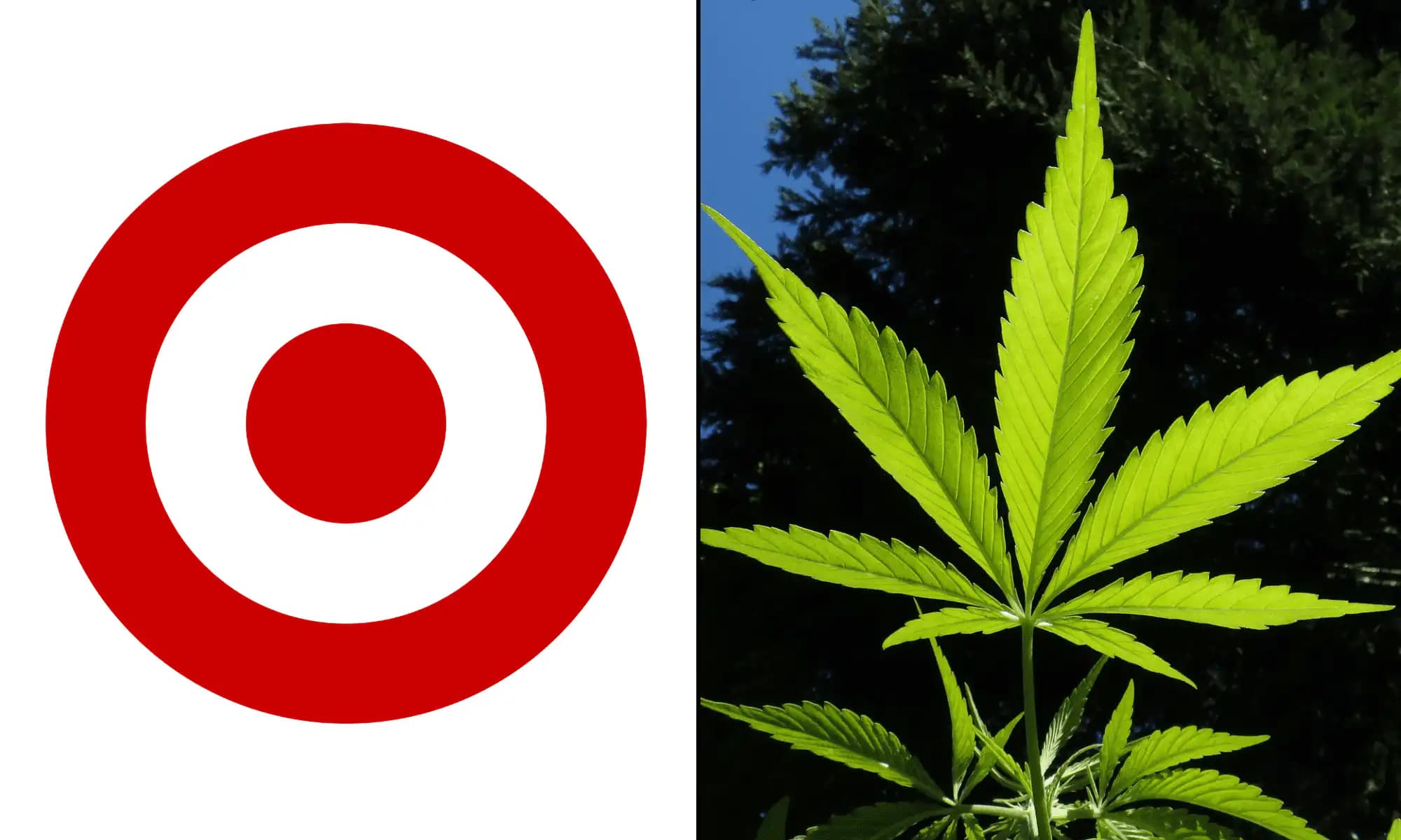 Target Expands Hemp-Derived THC Beverage Sales to Illinois, Florida, and Texas Stores