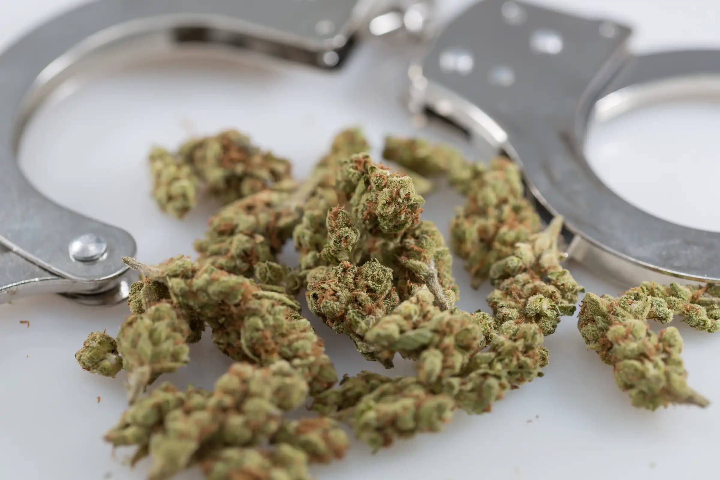 Jersey City Police Remain Off Duty After Court Backs Cannabis Use Rights