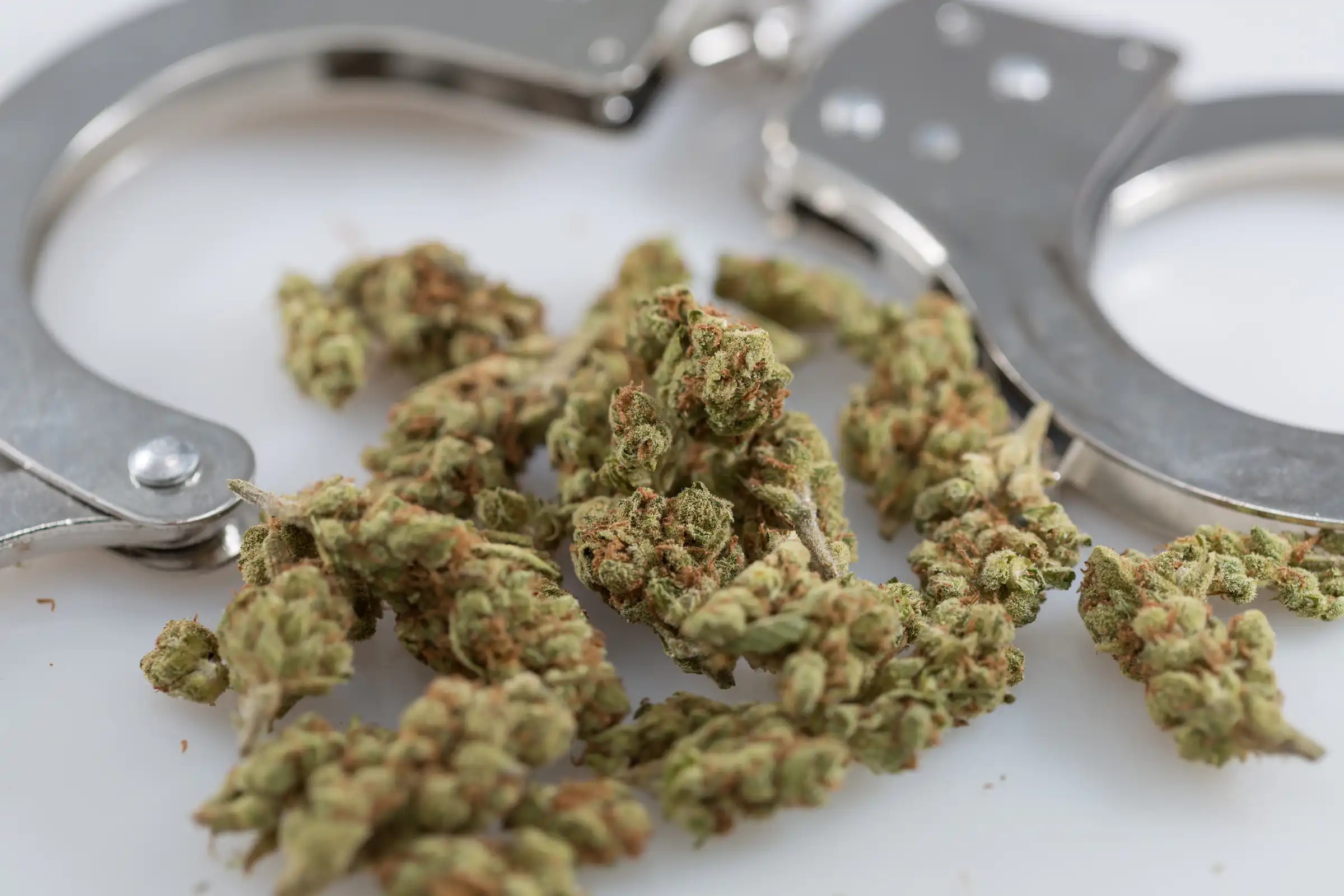 Jersey City Police Remain Off Duty After Court Backs Cannabis Use Rights