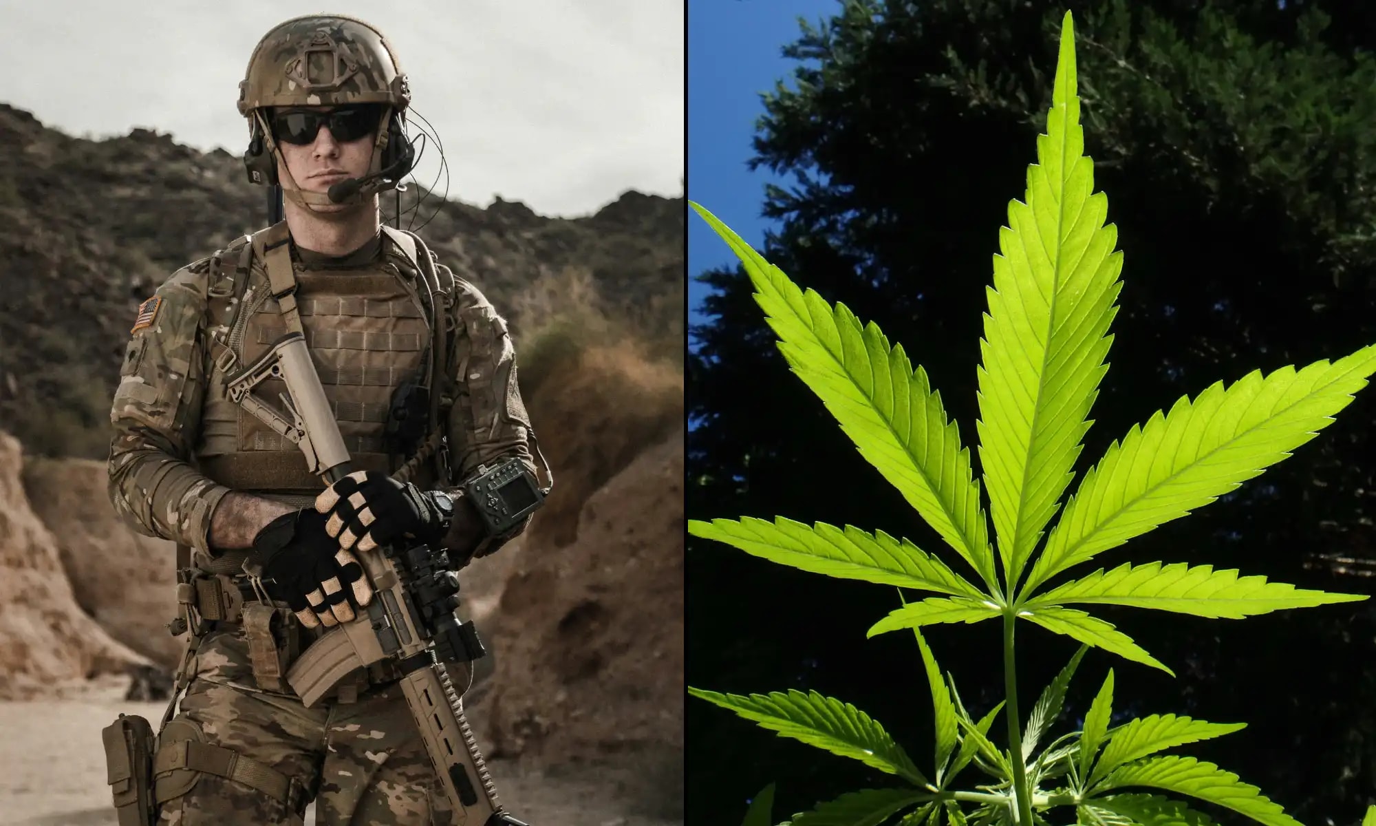 U.S. Army Reaffirms Zero-Tolerance Cannabis Policy, Bans All CBD Products for Soldiers