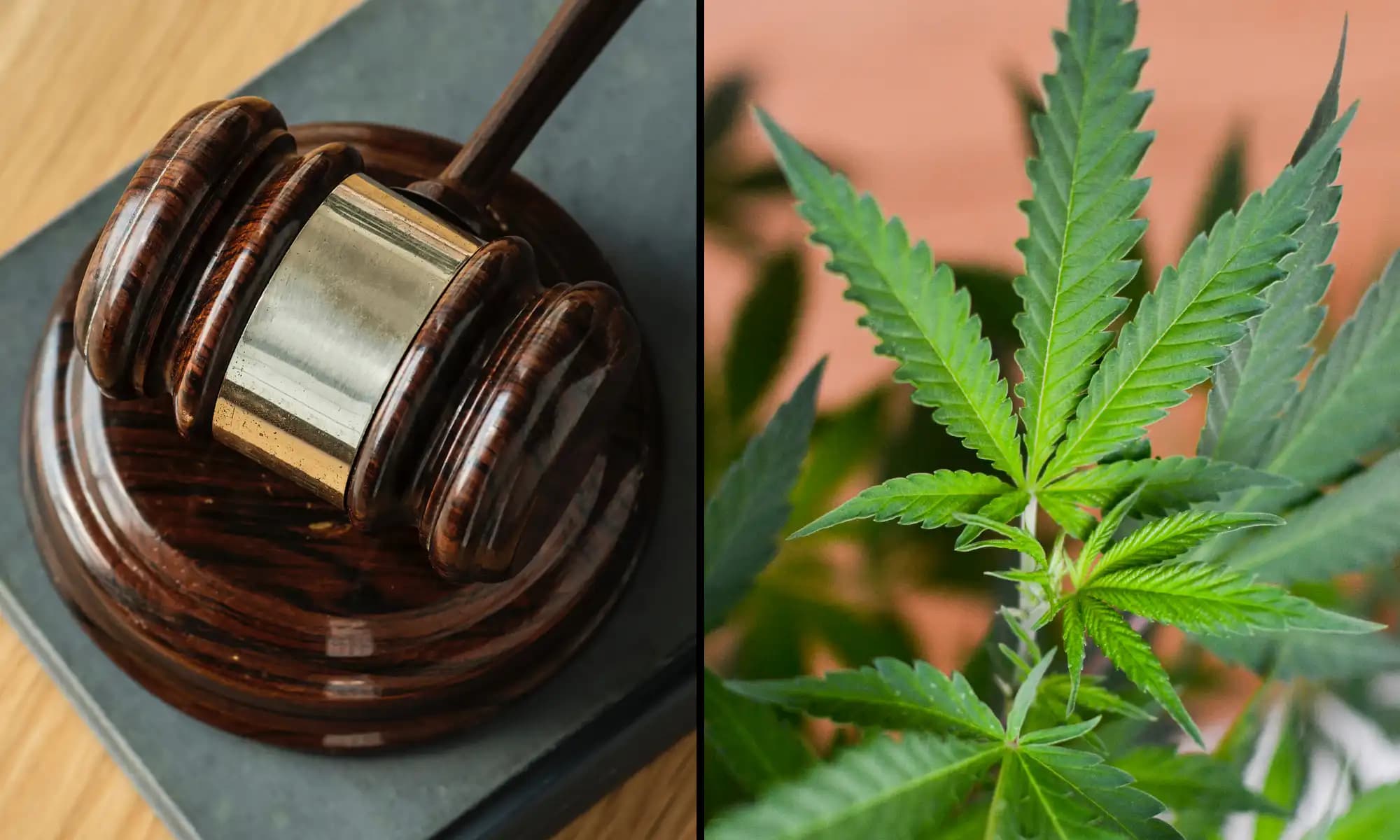 Massachusetts Supreme Court Upholds Ballot Measure to Repeal Cannabis Legalization