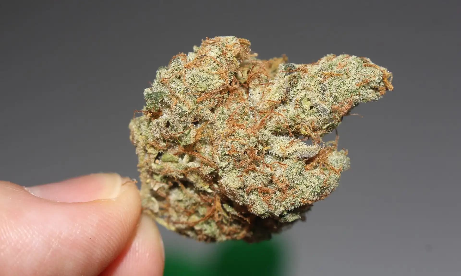 DEA Acknowledges Cannabis’s Medical Value and Safety During Rescheduling Hearing