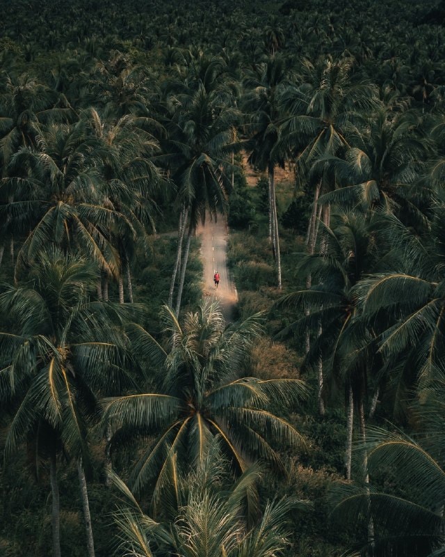 Ko Chang’s Natural Charm Shines with Untouched National Park