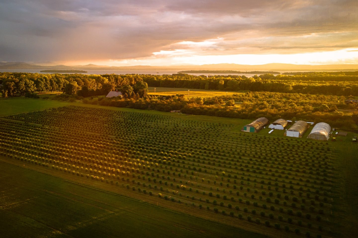 US Federal Conservation Funds Exclude Cannabis Growers Despite Regenerative Boom
