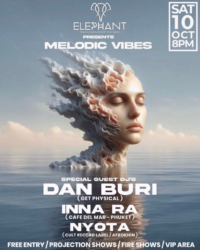Melodic Vibes Party with Fire Shows at Elephant Beach Club